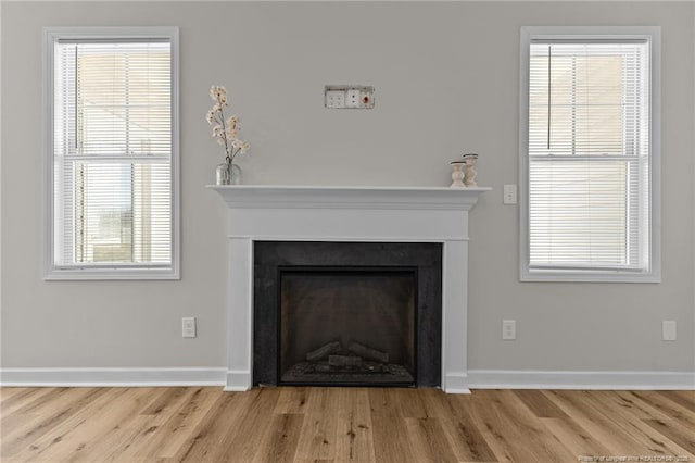 interior details with baseboards, wood finished floors, and a fireplace