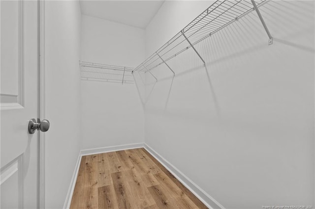 spacious closet featuring light wood finished floors