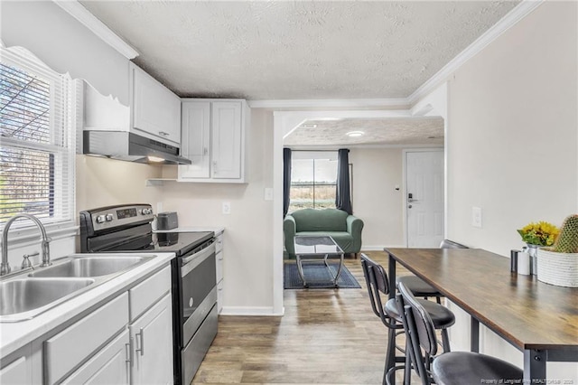 kitchen with light wood-style flooring, a sink, electric stove, under cabinet range hood, and crown molding