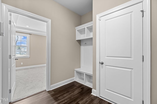 mudroom featuring dark carpet, baseboards, and dark wood-style flooring