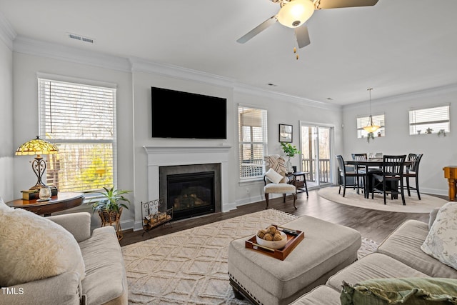 living room with visible vents, a ceiling fan, a glass covered fireplace, wood finished floors, and crown molding