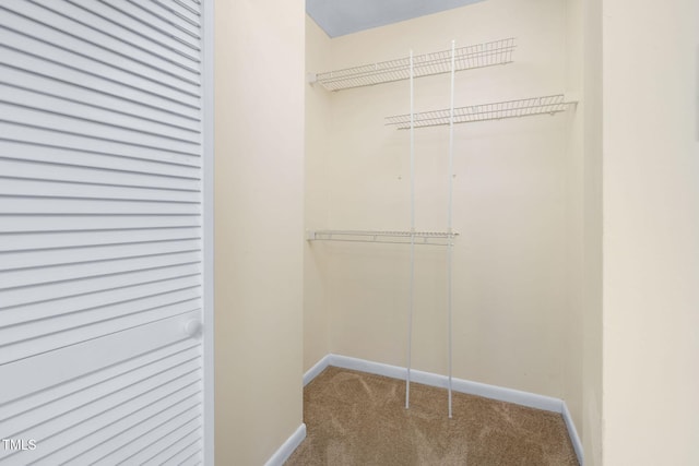 walk in closet with carpet