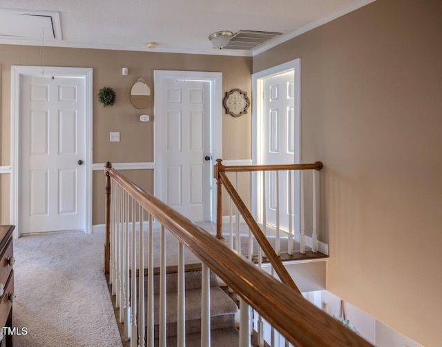 corridor with visible vents, an upstairs landing, ornamental molding, carpet, and attic access