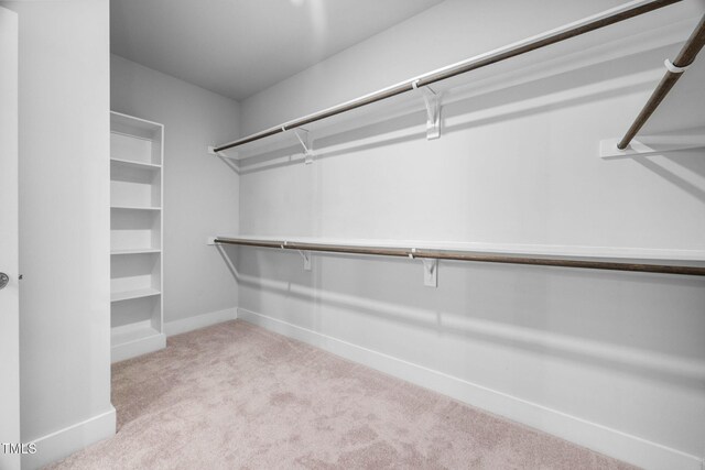 walk in closet with carpet flooring