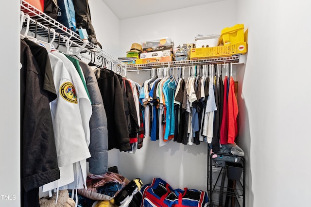 view of spacious closet