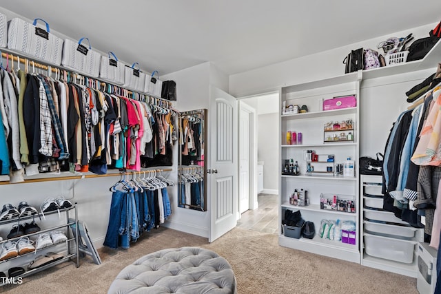 walk in closet featuring carpet floors