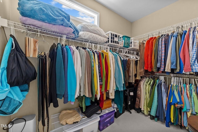 spacious closet featuring carpet floors