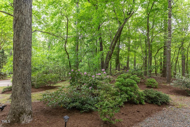 view of yard featuring a wooded view