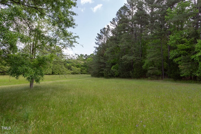 view of yard featuring a wooded view