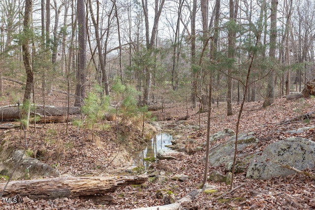 view of nature with a view of trees