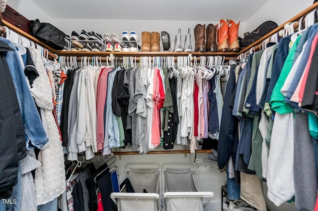 view of spacious closet