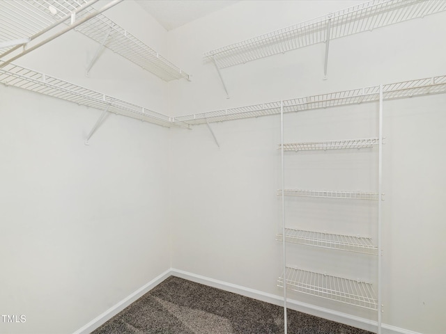 walk in closet with carpet floors