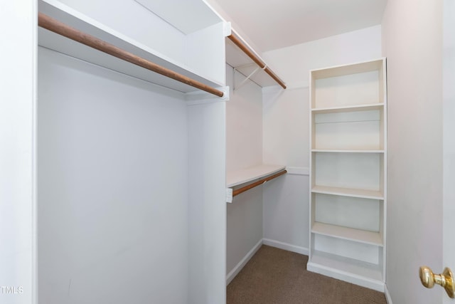 walk in closet with carpet