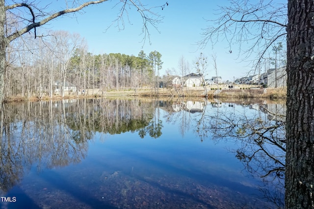 view of water feature