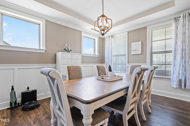 dining room featuring a wealth of natural light, dark wood-type flooring, and a tray ceiling