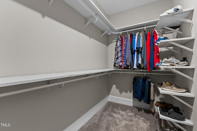 walk in closet featuring carpet