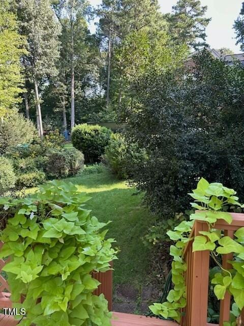 511 Windstream Way, Cary, NC 27518 - view of yard