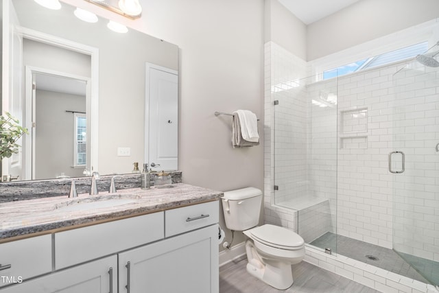 bathroom featuring plenty of natural light, toilet, vanity, and a shower stall