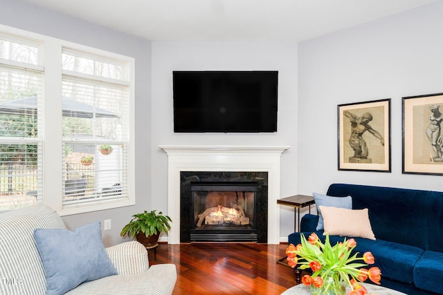 living area featuring wood finished floors and a fireplace