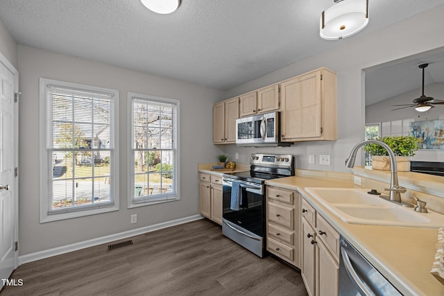 kitchen with visible vents, light brown cabinets, a wealth of natural light, stainless steel appliances, and a sink