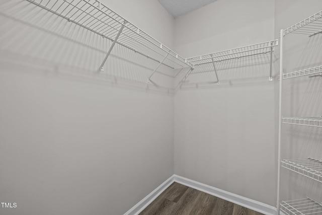 walk in closet with dark wood-type flooring