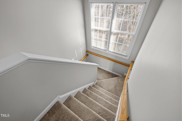 staircase with baseboards and carpet