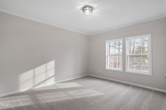 carpeted spare room with crown molding and baseboards