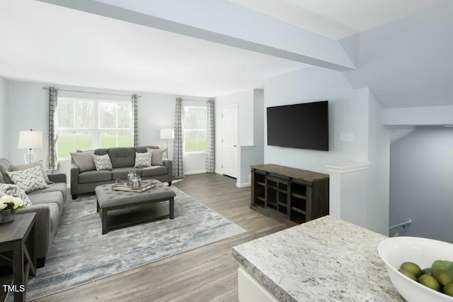 living room featuring wood finished floors and baseboards