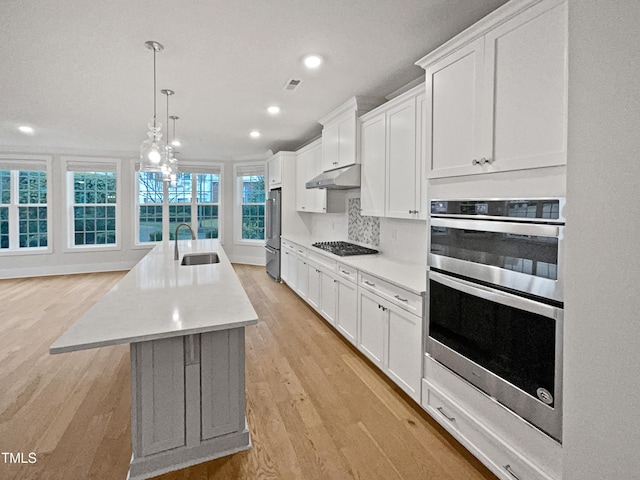 kitchen featuring under cabinet range hood, light countertops, light wood-style floors, stainless steel appliances, and a sink