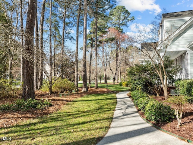 view of property's community with a yard