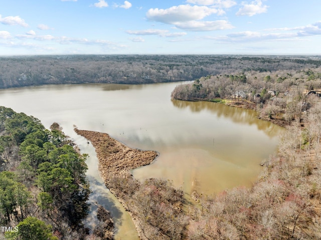 birds eye view of property with a view of trees and a water view