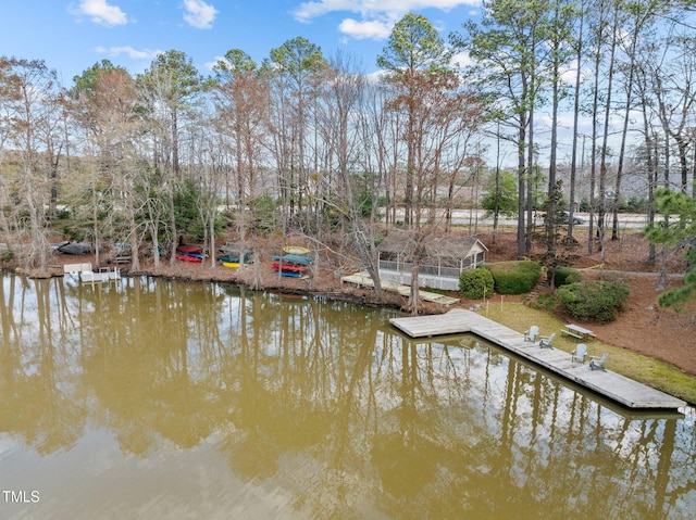 dock area with a water view