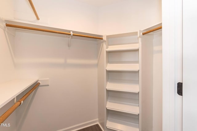 walk in closet featuring wood finished floors