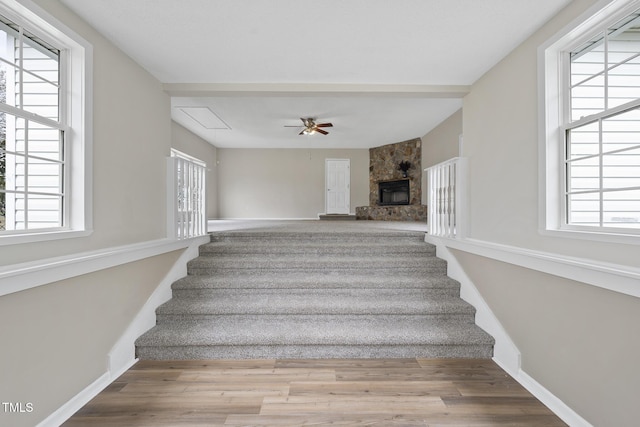 stairs featuring a fireplace, plenty of natural light, and wood finished floors