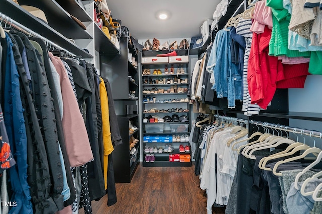 spacious closet featuring wood finished floors