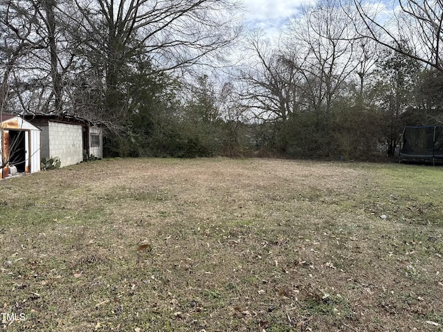 view of yard featuring a trampoline and an outdoor structure