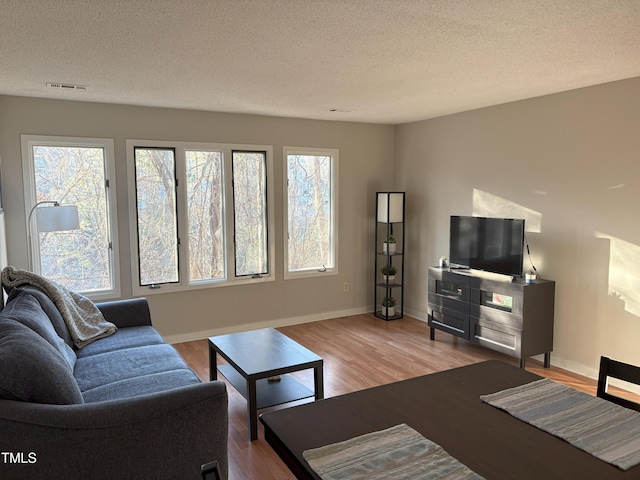 living room with baseboards, plenty of natural light, a textured ceiling, and wood finished floors