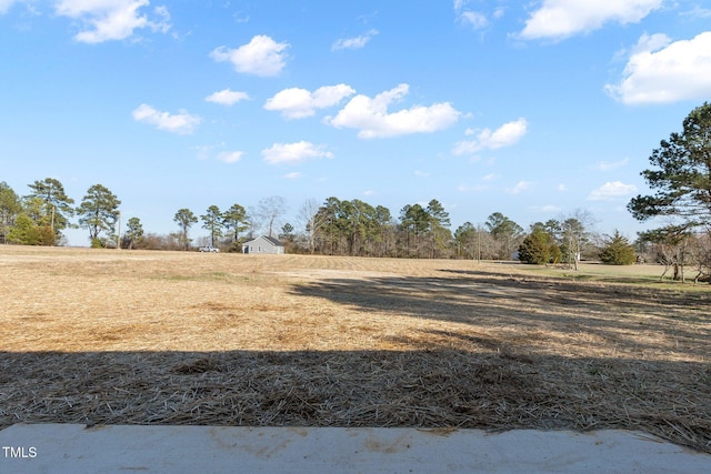 view of yard with a rural view