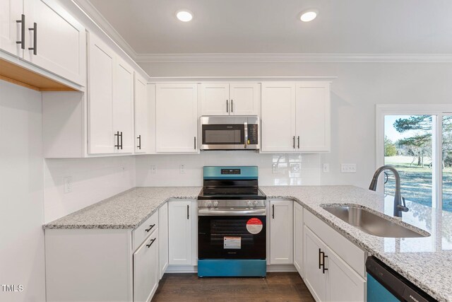 kitchen with dark wood finished floors, stainless steel appliances, crown molding, and a sink