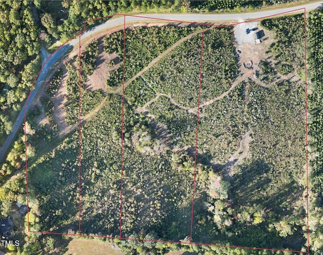 650LOT1 Doyle Cox Rd, Sanford, NC 27330 - photo 5