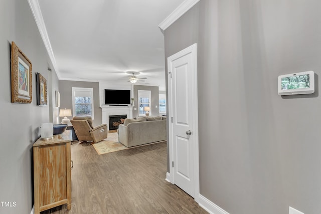 hall with crown molding, wood finished floors, and baseboards