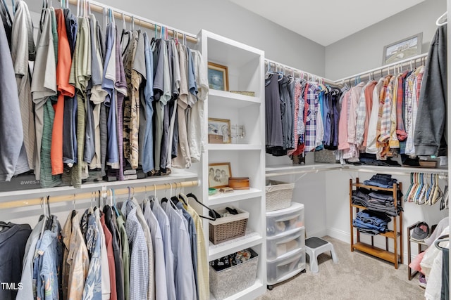 spacious closet with carpet