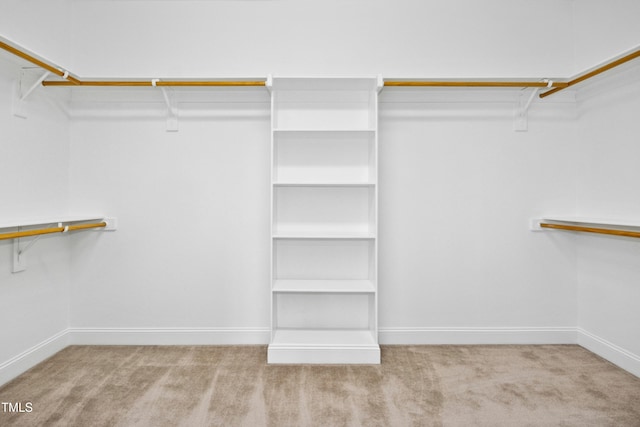 spacious closet featuring carpet floors