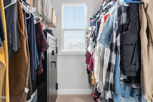 walk in closet with carpet