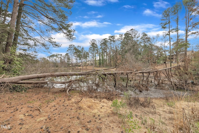 view of local wilderness