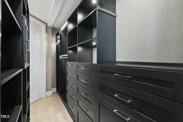 spacious closet with light wood finished floors