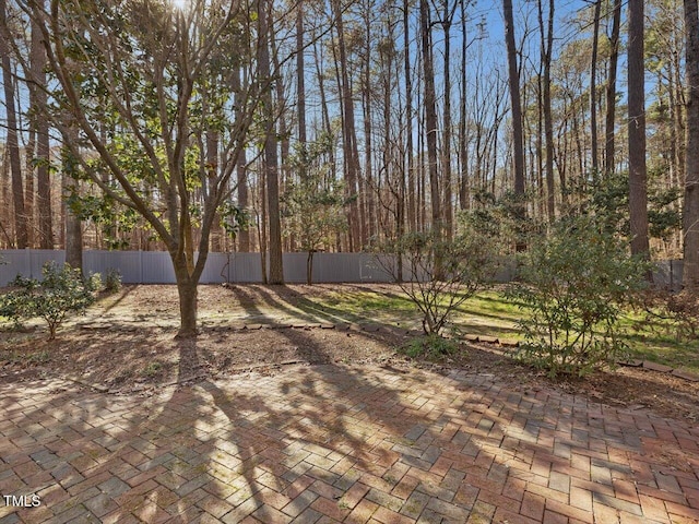 view of yard with a patio and a fenced backyard