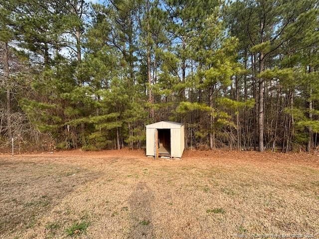 view of yard with an outbuilding and a storage unit