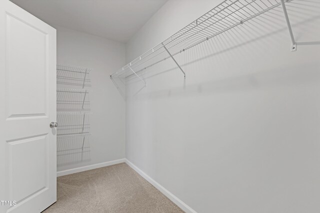 walk in closet featuring light colored carpet