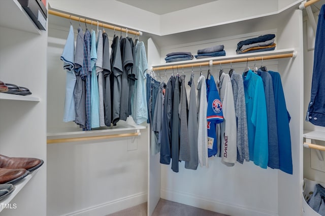 view of spacious closet